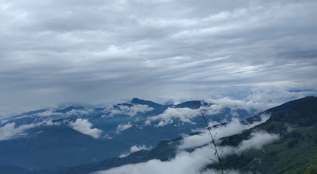 Dawaipani