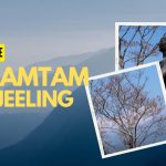 Badamtam Darjeeling