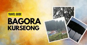 Bagora Kurseong